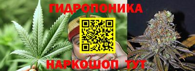 СК Анжеро-Судженск