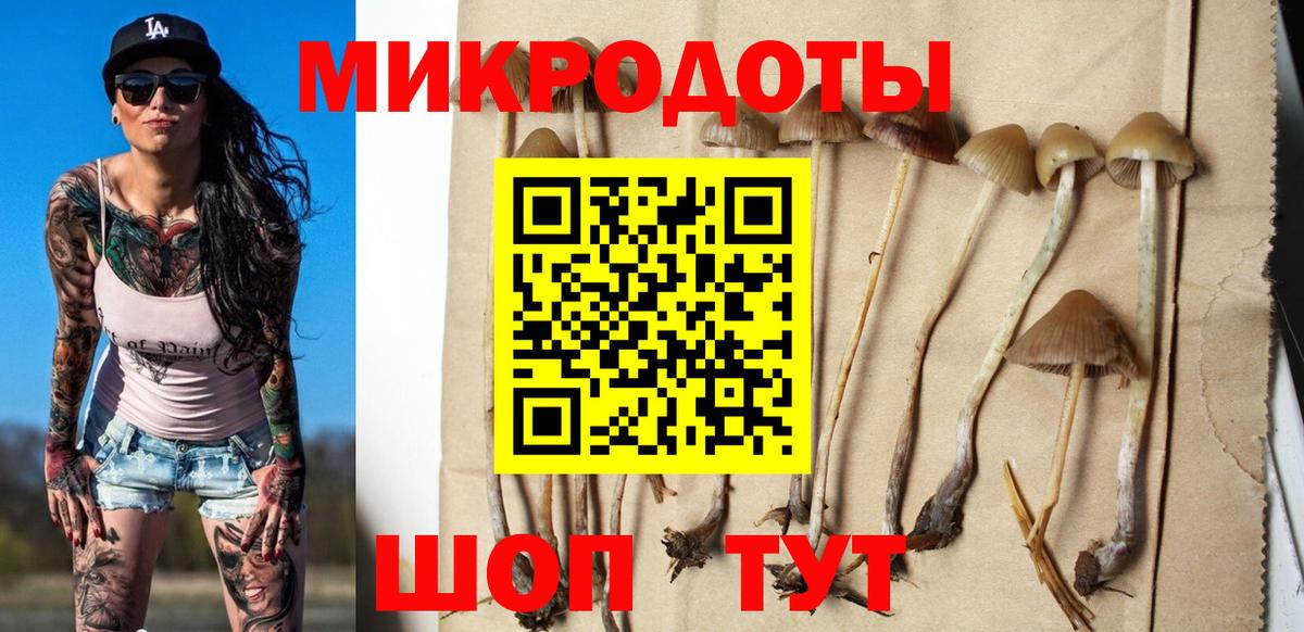 Галлюциногенные грибы мицелий Новый Уренгой