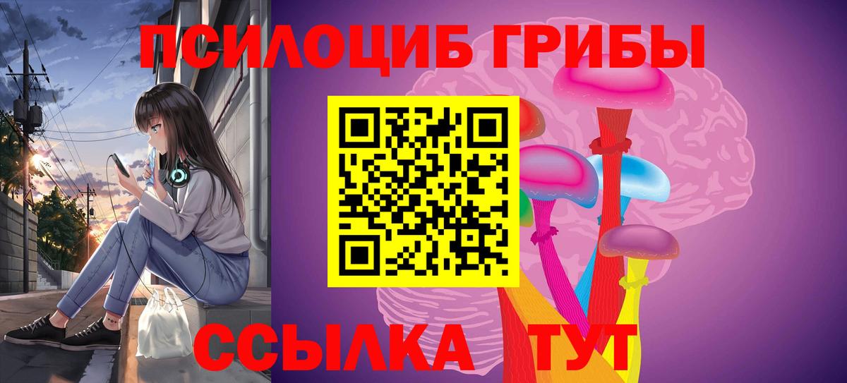 Новый Уренгой  Галлюциногенные грибы Psilocybe  Вход с VPN 