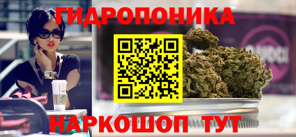 Каннабис Amnesia Новый Уренгой